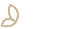 Clermont Auvergne Volcans
